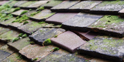 The Raveleys roof repair costs